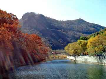 管家打一正确生肖最佳答案，什么胶水可以粘住铁